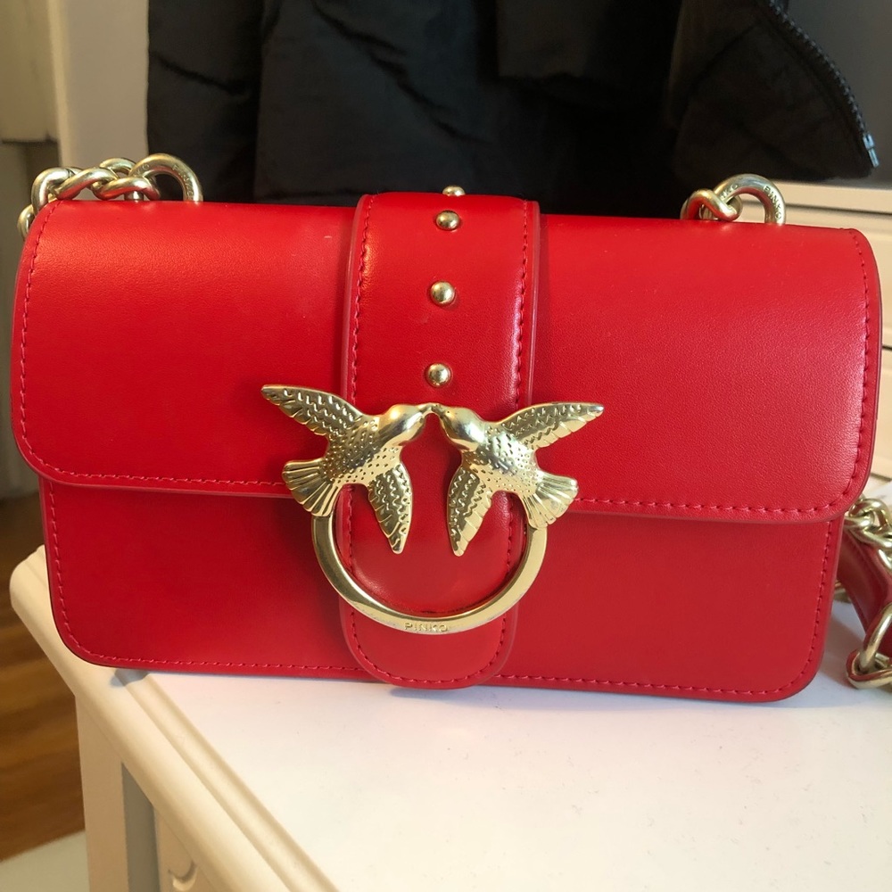 pinko bag